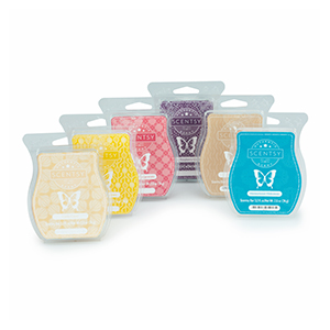 Scentsy 6 Pack Bars – Scentsy Online Store