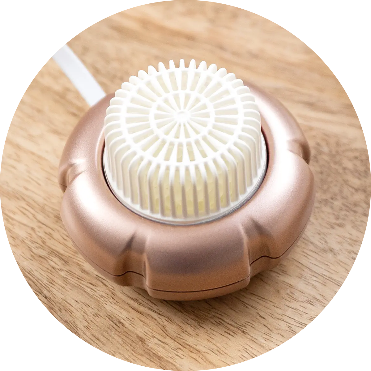 Mini Fan Diffusers - Scentsy