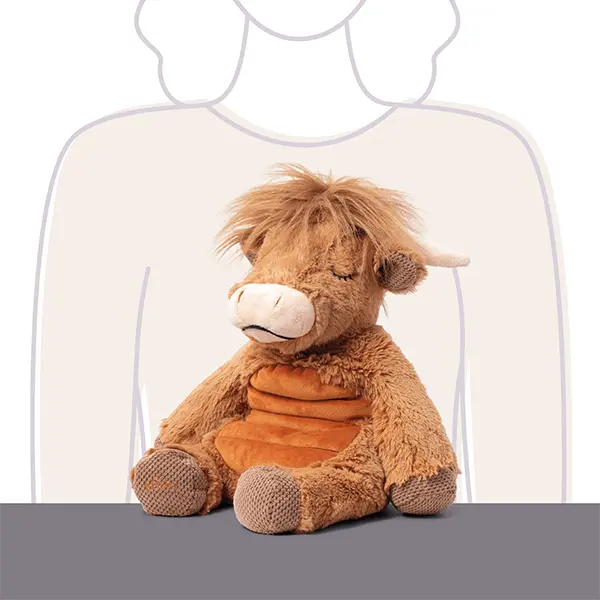 Hamish the Highland Cow Weighted & Warming Scentsy Buddy - Image 5