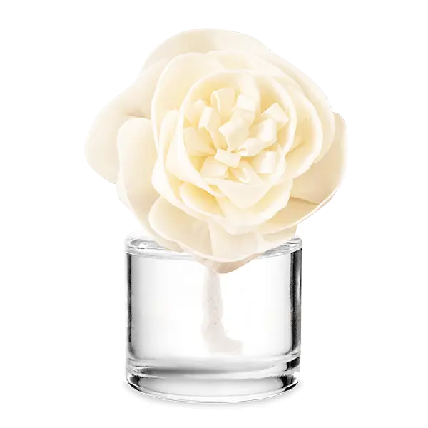 Camu Camu - Buttercup Belle Fragrance Flower