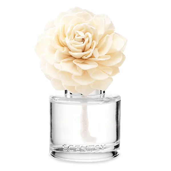 Camu Camu - Dahlia Darling Fragrance Flower