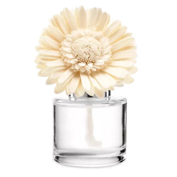 Kindness - Dainty Daisy Fragrance Flower