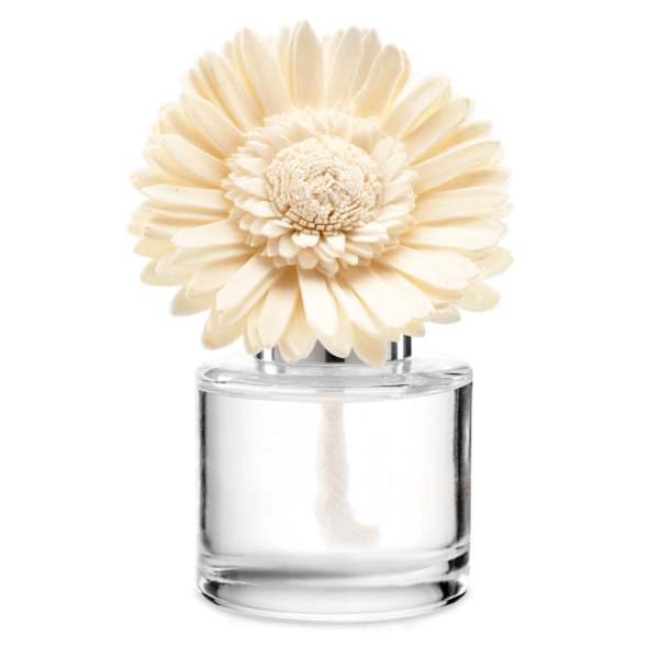 Pineapple Mango - Dainty Daisy Fragrance Flower