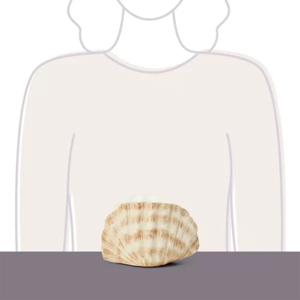 Seashell Warmer - Image 4